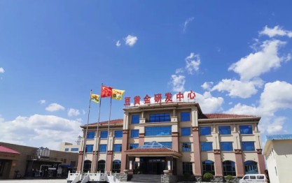 豆黃金零添加腐竹初心如磐，做食品匠人