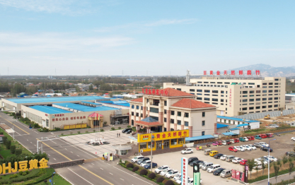 視覺升級 | 聚焦0添加，豆黃金開啟品牌煥新！